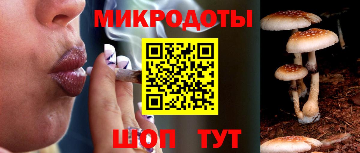 Псилоцибиновые грибы ЛСД Сосновый Бор