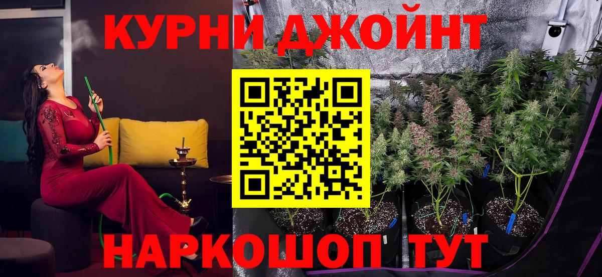 Конопля гибрид Сосновый Бор